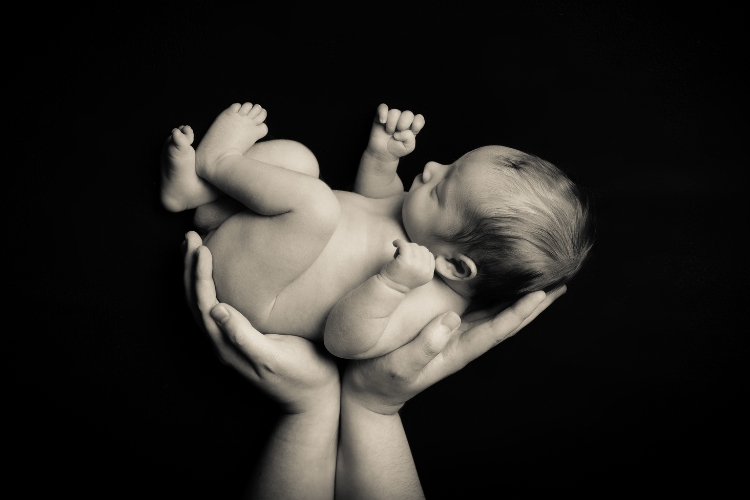 A baby in a person's hands.